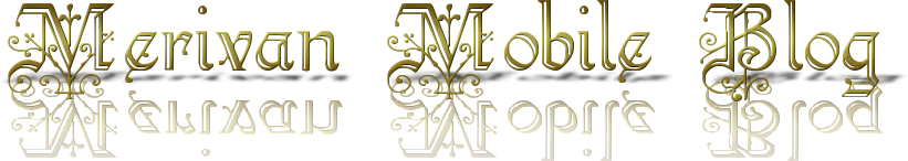 Merivan Logo